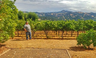 James looking confident in Sonoma vineyard