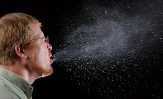 Cool facts about colds and other things you might not know about the common cold.
