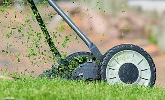 lawn care tips and advice
