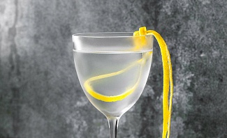 Tips and advice to help you make the perfect vodka martini at home
