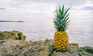 Pineapples are important for sinus health.