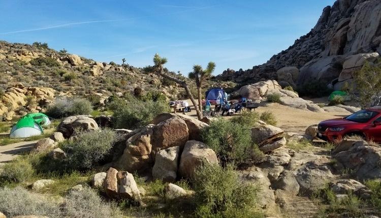 Camping at Joshua Tree
