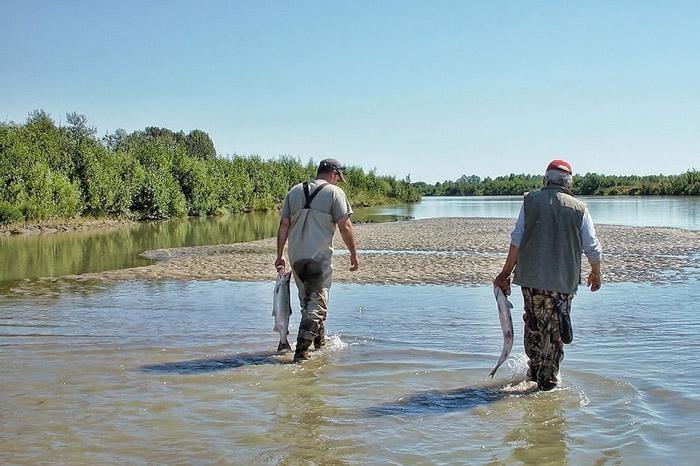 alaska salmon fishing