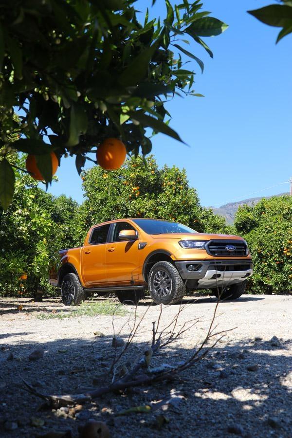 ford ranger fx4 in orange tree orchard