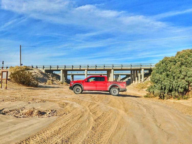 raptor at end of trail