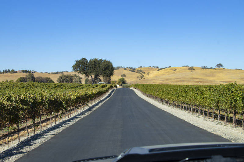 driving through vineyards at rava