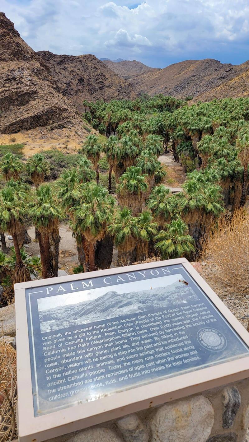 palm canyon hiking trail
