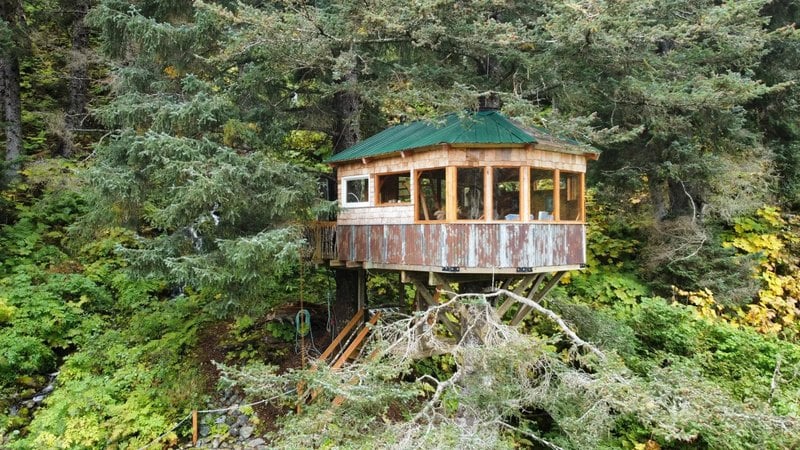 Waterfront treehouse cabin at Tree House Cove Lodge near Seldovia, Alaska