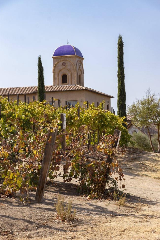 allegretto resort tower and vineyard in paso robles california