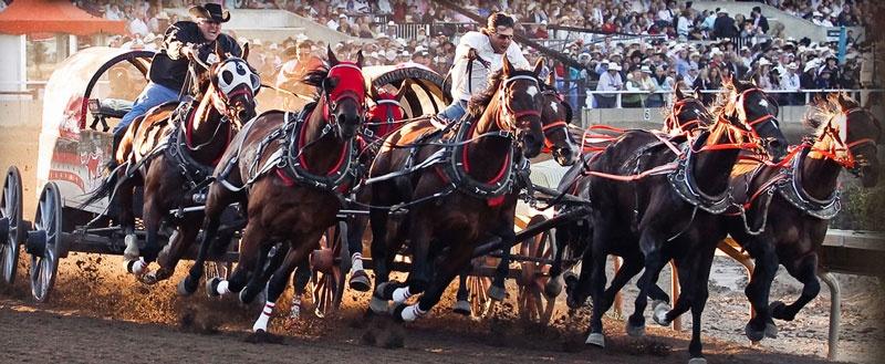 Calgary Stampede Rangeland Derby