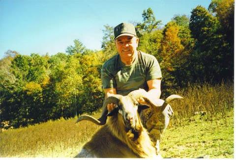 wilderness hunting lodge trophy ram