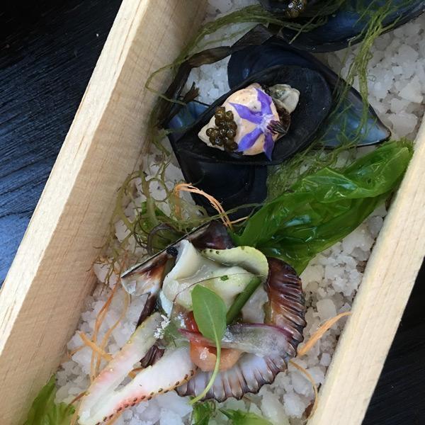 animalon shellfish appetizer with fake edible shells
