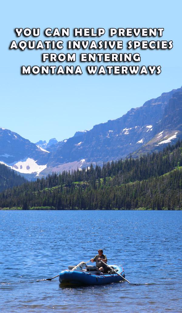 you can help prevent aquatic invasive species from entering montana waterways heres how