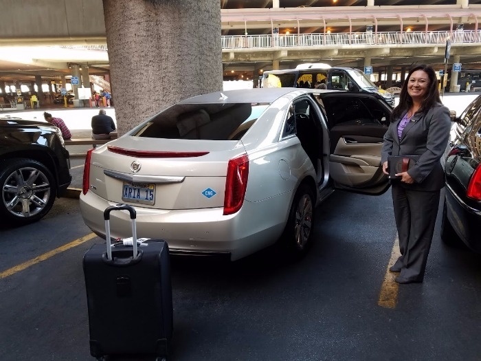 sky suite limo
