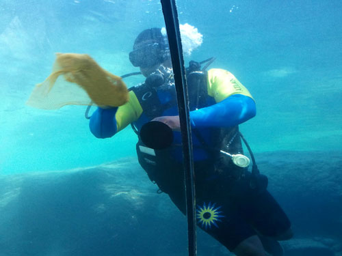 diver-cleaning-tank