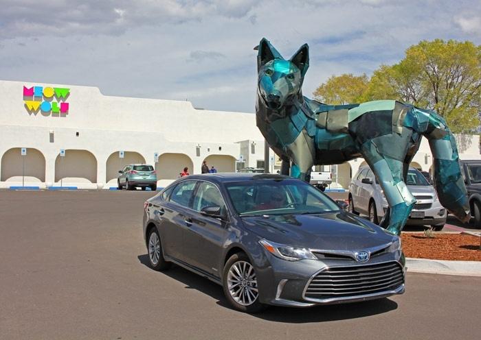 avalon meow wolf