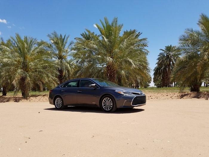 date land avalon