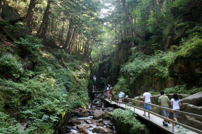 franconia notch state park