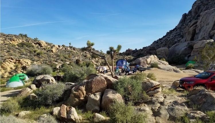 Camping at Joshua Tree National Park