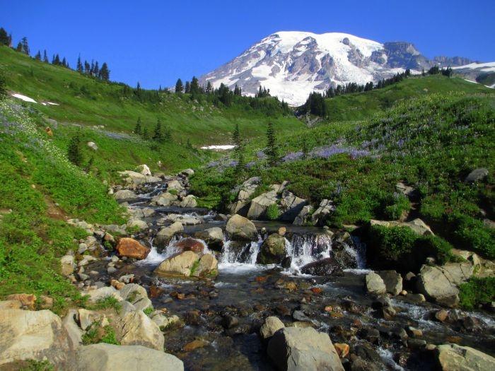 mount rainier