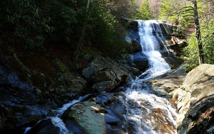 pisgah national forest