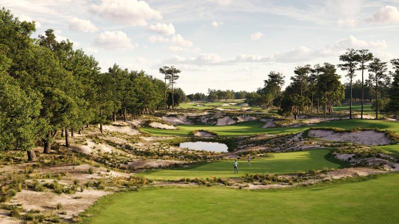 Pine Barrens hole 03