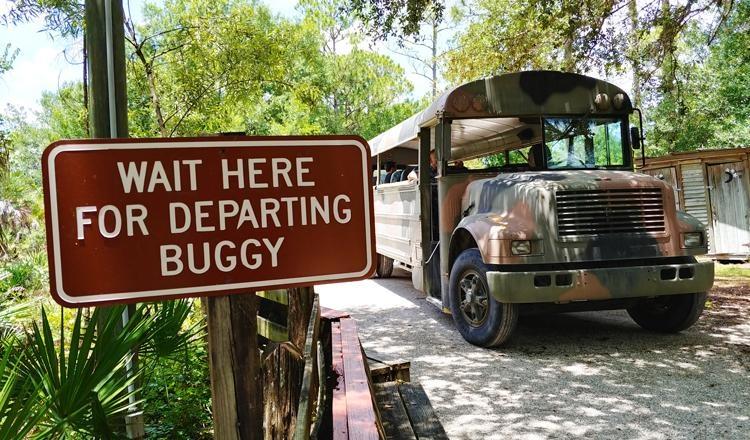 babcock ranch swamp buggy