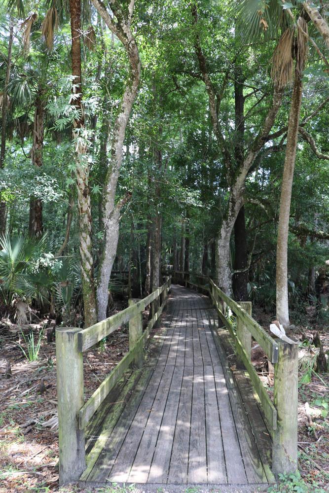 babcock ranch swamp buggy tours