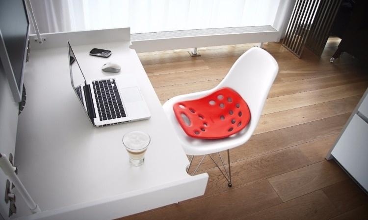 BackJoy