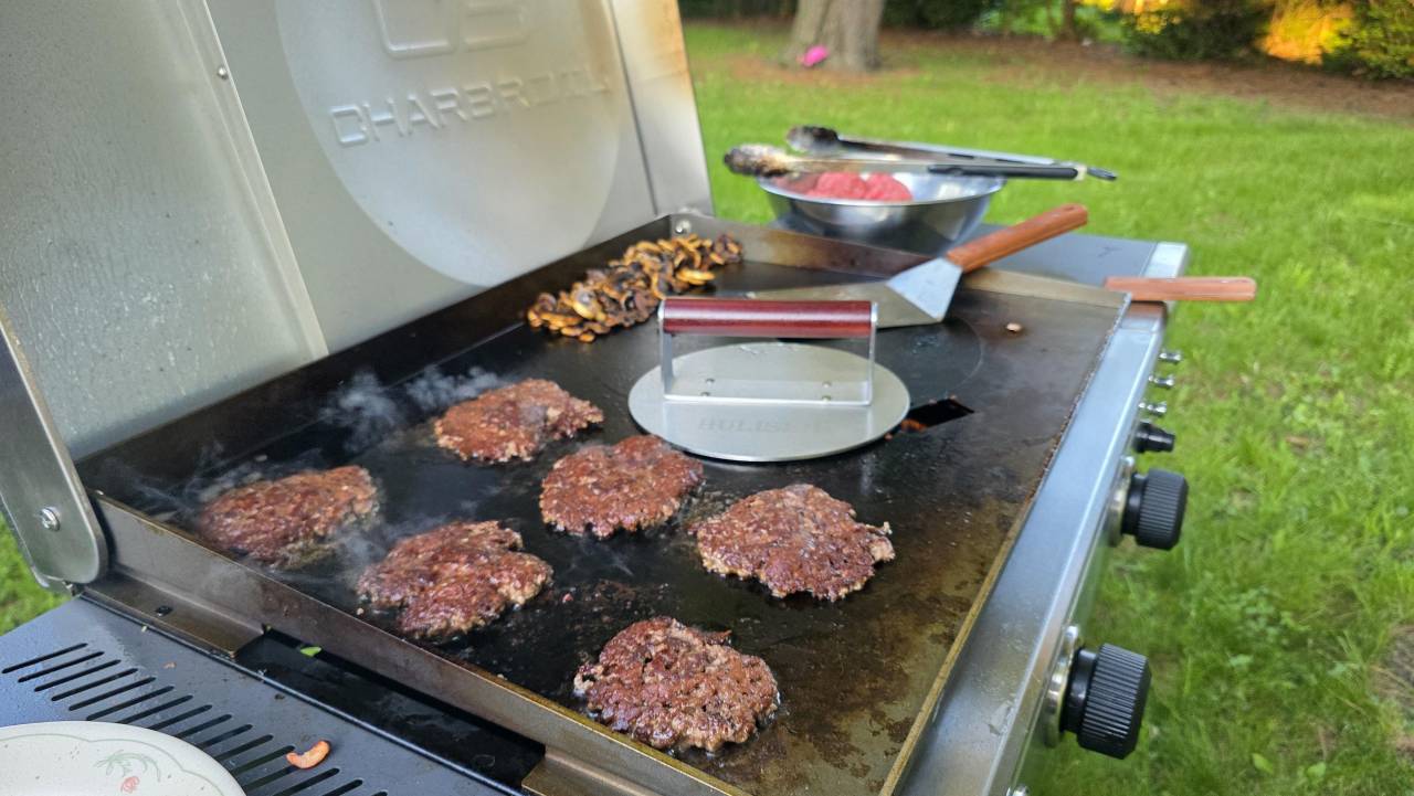 Backyard Grilling Pest Control Is Essential For Safe Outdoor Cooking