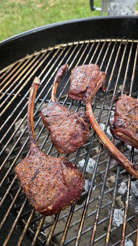 Venison tomahawk chops finishing over ashed-over Bear Mountain lump charcoal on a Weber kettle