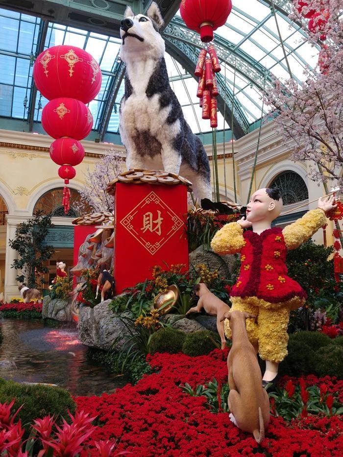 chinese lunar new year celebration year of the dog bellagio conservatory las vegas nevada