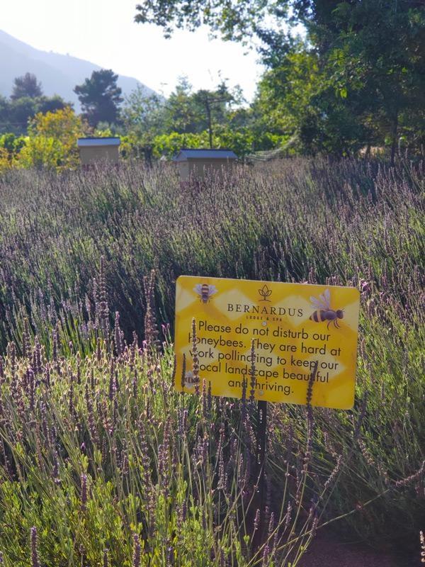 bernardus lodge apiary