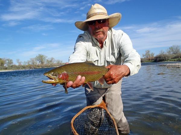 bighorn river alliance