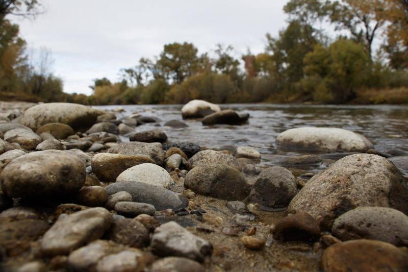 fly fishing boise idaho