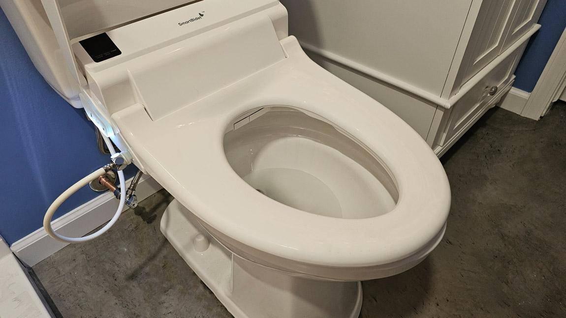 bidet buying guide
