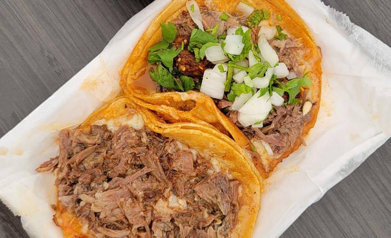 birria de chivo tacos
