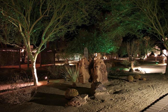 bliss lights trees casa del zorro