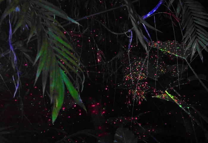 palm tree lights