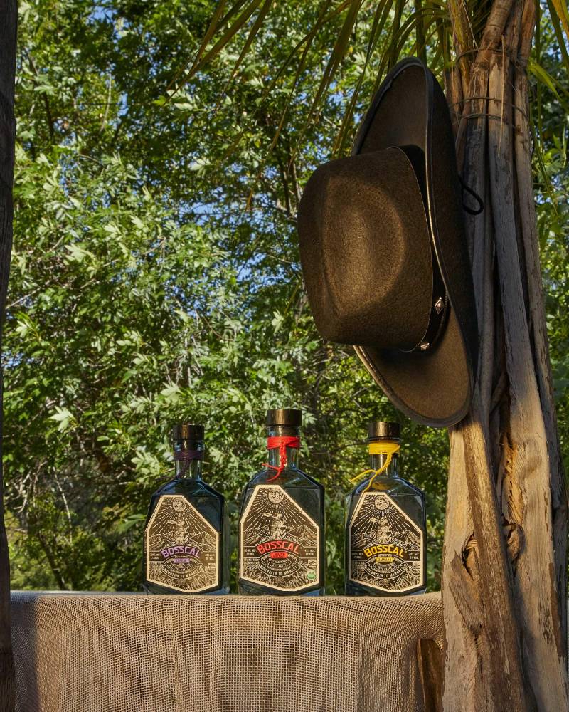 bosscal mezcal varietals