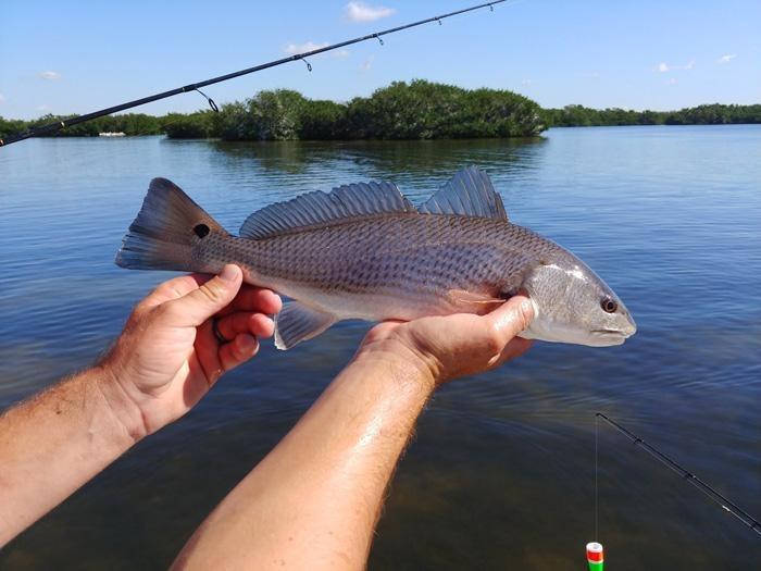 fishing amelia island bradenton florida
