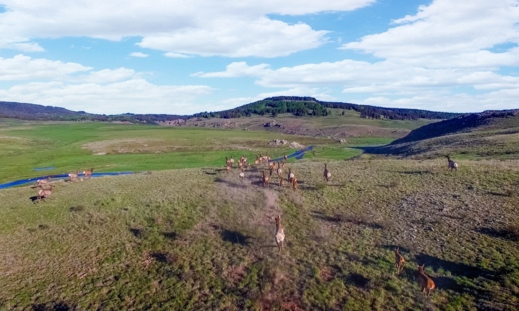 Brazos River Lodge