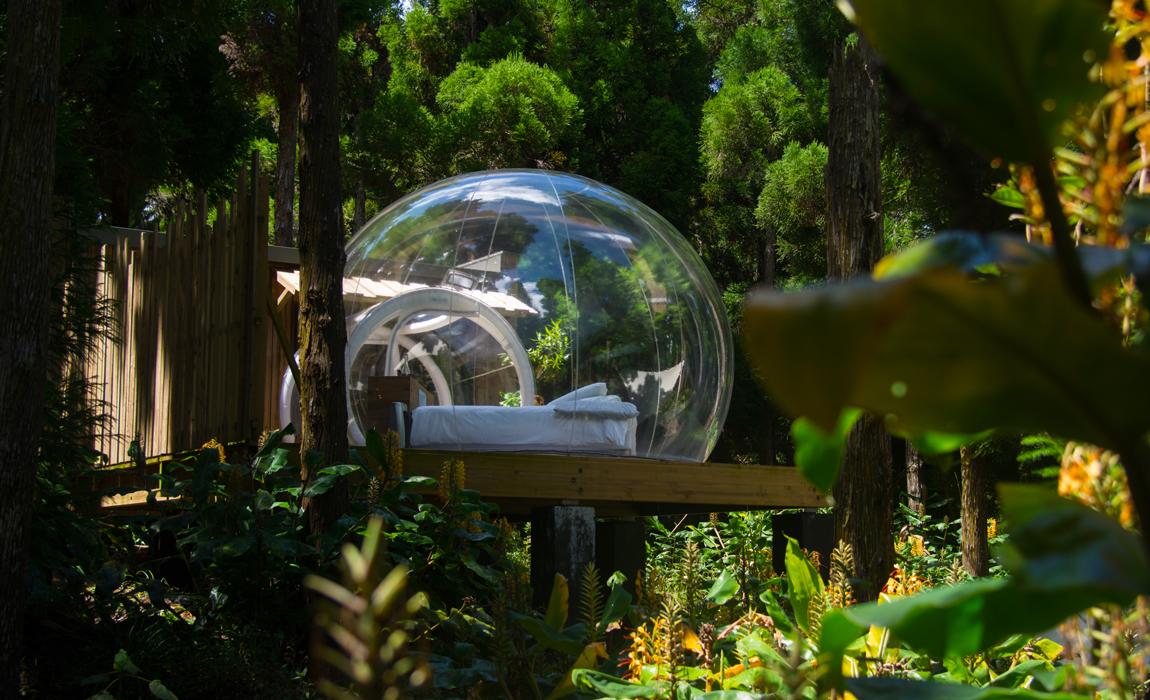 Bubble hotel room experience on La Reunion Island