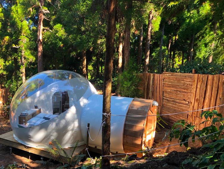glass bubble room reunion island