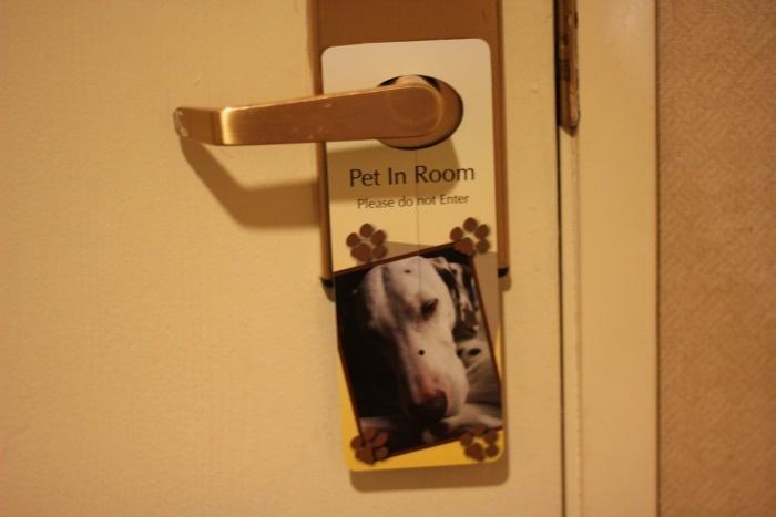 pet friendly sign