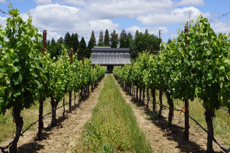 Amista Vineyards