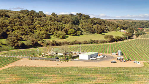 riverbench winery santa maria tasting room