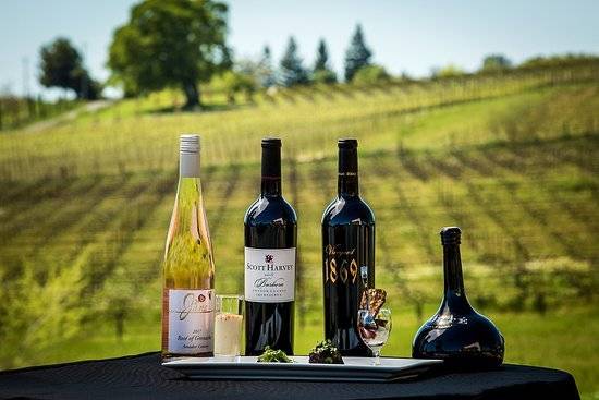 Scott Harvey Wines