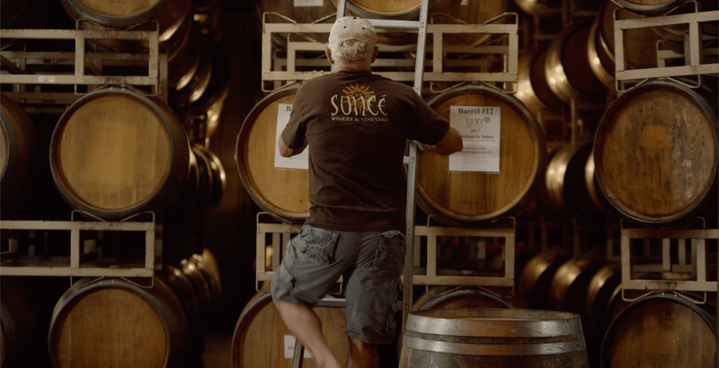 Sunce Winery & Vineyard