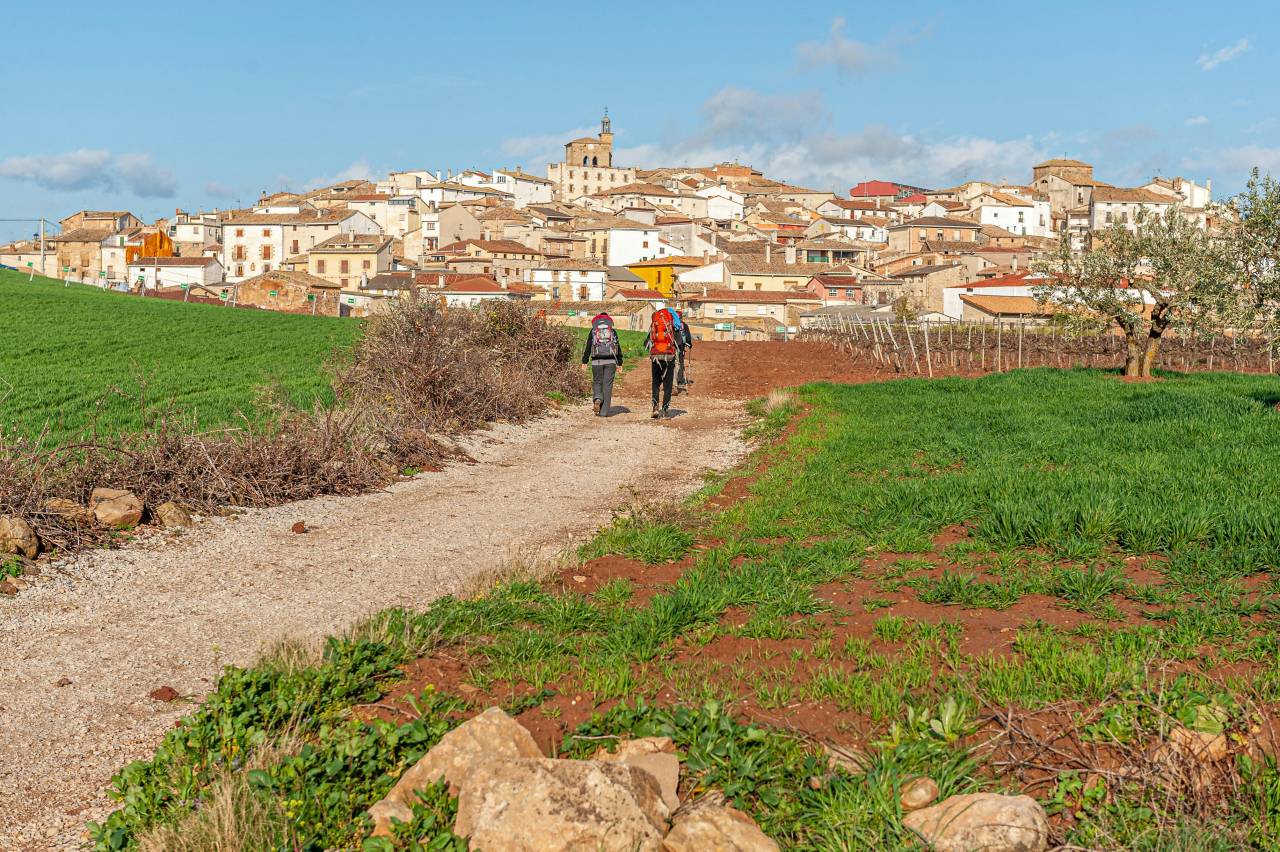 camino de santiago walking tour for men in spain